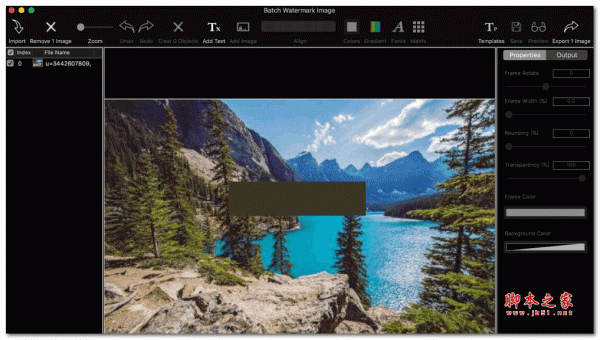 Batch Watermark Image for Mac(批量水印工具) v1.2.0 苹果特别版