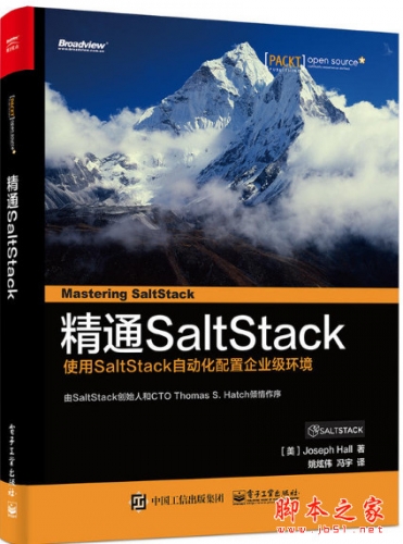 精通SaltStack 完整版 中文pdf扫描版[57MB]