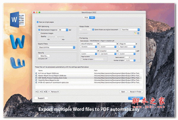 BatchOutput XLS for Mac(打印和PDF管理软件) V2.5.16 苹果电脑版