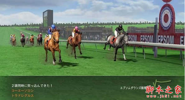 赛马大亨8年度代表马存档 免费版