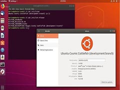 Ubuntu18.10已经开启 新主题 Android集成 节能优化