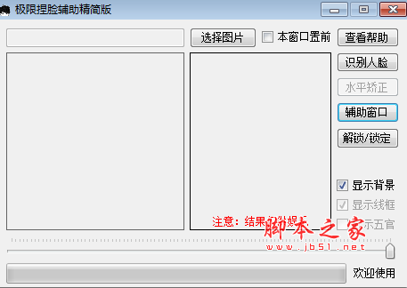 逆水寒极限捏脸辅助(DIY捏脸模拟器) 精简版 免费绿色版