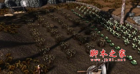 上古卷轴5天际重制版更丰富的农场MOD 