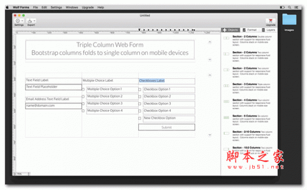 网页设计应用工具 Wolf Forms for mac v 2.21 破解苹果版 