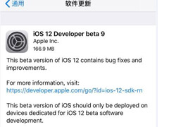 苹果iOS 12开发者预览版beta 9更新发布(附固件下载)