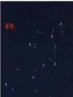 逆水寒狮子座怎么找 逆水寒十二星宫录寻找狮子座方法