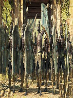 奇异小队护身符都有什么 奇异小队护身符详细介绍