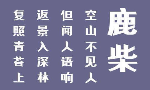 叶根友尚悦铂黑字体