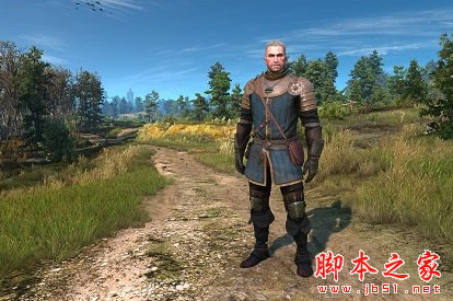 巫师3狂猎 蓝色和金色的西斯达盔甲的纹理MOD 免费版