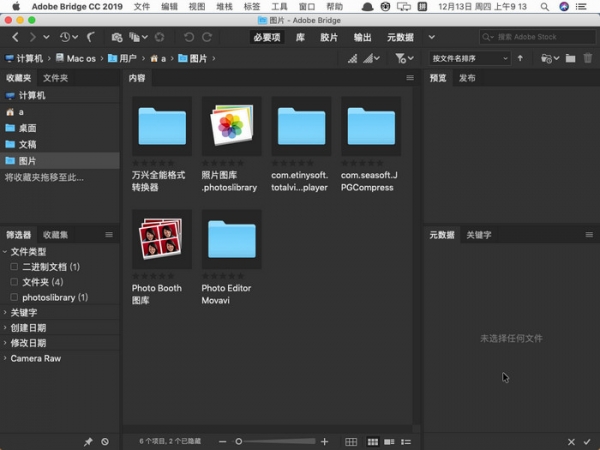 Adobe Bridge CC 2019 for Mac V9.0.2 中文版
