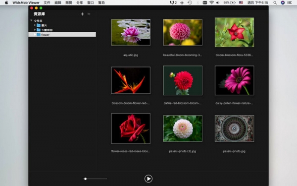 WidsMob Image Viewer(图像查看工具)for Mac V2.14 苹果电脑破解版