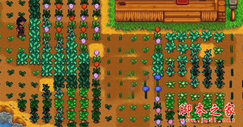 星露谷语作物浇水显示优化MOD 免费版