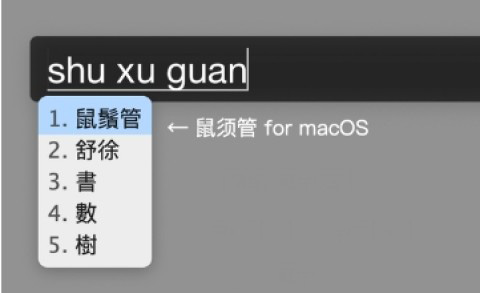 鼠鬚管输入法 for mac V0.10.0 苹果电脑版