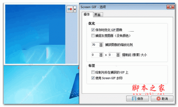 Screen GIF(GIF动画录制软件) v2019.1 汉化特别版(附汉化补丁+破解步骤)