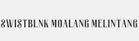 Swistblnk Moalang Melintang 英文衬线字体