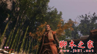 只狼影逝二度仿HDR色阶增强画面细节高清晰补丁 免费版