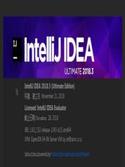 IntelliJ IDEA 2021.1.0许可证最新注册激活方法 五种许可证激活