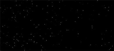 HTML5 Canvas实现满天繁星闪烁的星空图背景动画效果源码