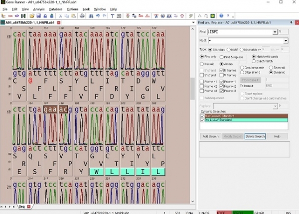 Gene Runner(生物基因序列分析)V6.5.51 英文安装版
