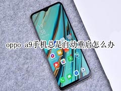 oppo a9手机总是自动重启怎么解决?