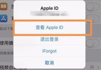 苹果手机查看ID时闪退怎么解决？iPhone无法查看ID怎么办？