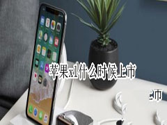 苹果xl预计什么时候上市？