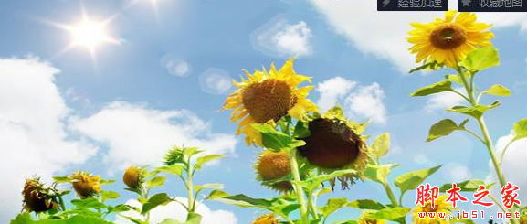 灰松森林1.0.1正式版 附攻略及隐藏密码 魔兽角色地图