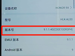 荣耀9x开发者选项在哪?荣耀9x打开开发者选项的方法介绍