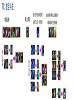 云顶之弈强势阵容推荐与装备分配图示 虚空斗法运营指南分享