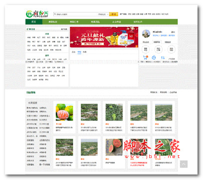 花木网、苗木网源码 v7.0