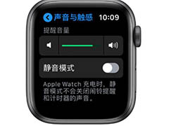 Apple Watch Series 5怎么调节声音大小