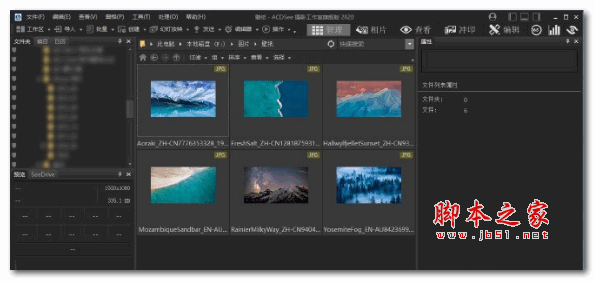 ACDSee Photo Studio 2020 汉化补丁V8.0 by MERRON(支持Ultimate/Pro)