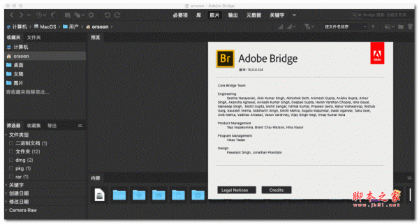 Adobe Bridge CC 2020(v10.0.2.131) for Mac 苹果电脑版(中文直装版)