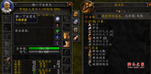 魔兽怀旧服人物详细信息资料查看插件(Armory) v1.3 汉化版