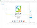 Navicat Data Modeler怎么激活？Navicat Data Modeler安装激活详细图文教程