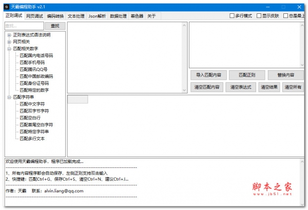 天霸编程助手 V2.1 绿色便携版