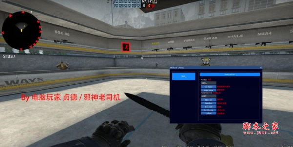 CSGO-Trol辅助(自定义名称/防踢/假VAC封禁) v2.4 免费版