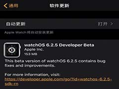 苹果向开发者推送watchOS 6.2.5首个测试版本