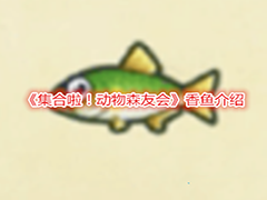 集合啦动物森友会香鱼价格是多少 动物森友会香鱼详解