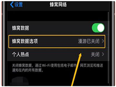 iPhone手机如何通话不断网 iPhone手机实现通话不断网的方法