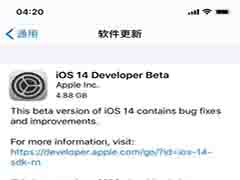 苹果 iOS 14/iPadOS 14 开发者预览 / 公测版 Beta 推送