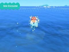 集合啦动物森友会海盗物品怎么获得 海盗主题物品获取方法攻略