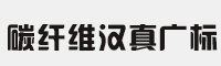 碳纤维汉真广标简体