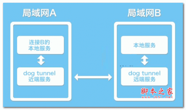 dog tunnel P2P端口映射工具 v1.4.2