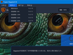 图片无损放大软件 Topaz Gigapixel AI 5 破解版安装+中文汉化教程(附下载)