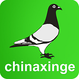 中国信鸽信息网 for android v20231101 安卓手机版