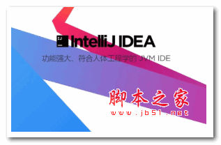 IntelliJ IDEA 2020.2.4 全家桶系列通用补丁