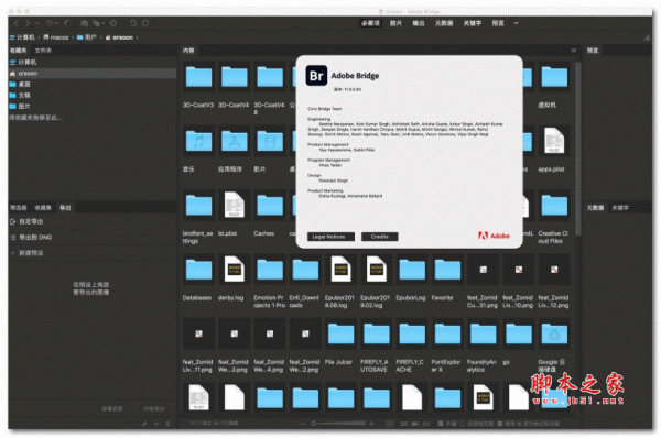 Adobe Bridge CC 2021 for Mac v11.0.0.83 中文直装版