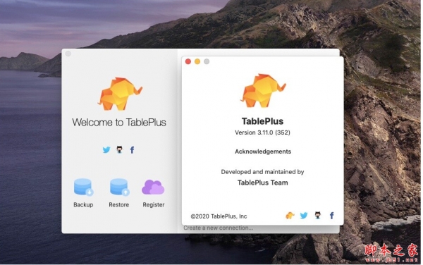 TablePlus for mac (数据库开发工具) v3.11.0 苹果电脑激活版