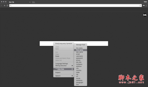 Fake Data(表格填充扩展Chrome插件) v4.8.3 免费版 附安装方法